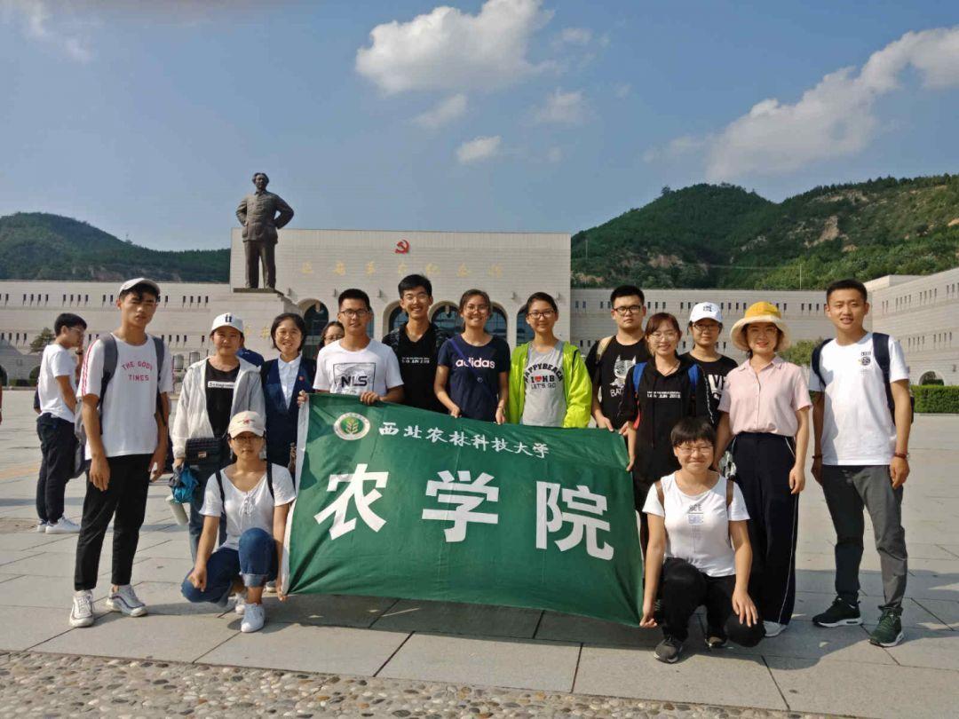 逃离无人大住宅